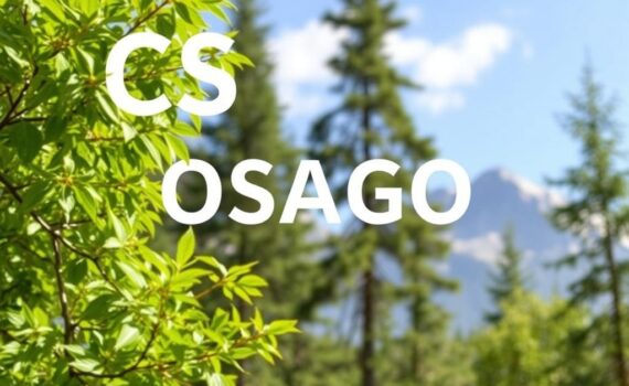 КС в ОСАГО: Что такое коэффициент сезонности и как он влияет на стоимость полиса